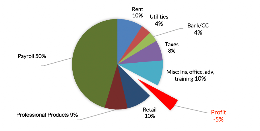 Maximize salon revenue chart from my freelance B2B copywriter writing sample.